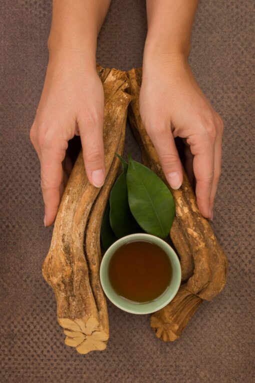Soul Herbs: Buy Ayahuasca | Ayahuasca Online for Sale Soul Herbs: Buy Ayahuasca | Ayahuasca Online for Sale